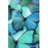 Blue Butterfly 5D DIY Paint By Diamond Kit
