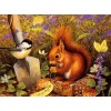 Squirrel In The Garden 5D DIY Paint By Diamond Kit