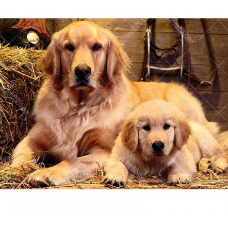 Two Dogs 5D DIY Paint By Diamond Kit