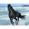 Black Horse 5D DIY Paint By Diamond Kit