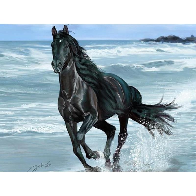 Black Horse 5D DIY P...