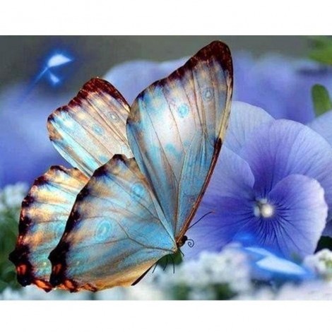 White Butterfly Animal 5D DIY Paint By Diamond Kit