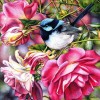 Bird and Flower 5D DIY Paint By Diamond Kit
