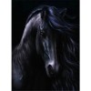 Black Horse 5D DIY Paint By Diamond Kit