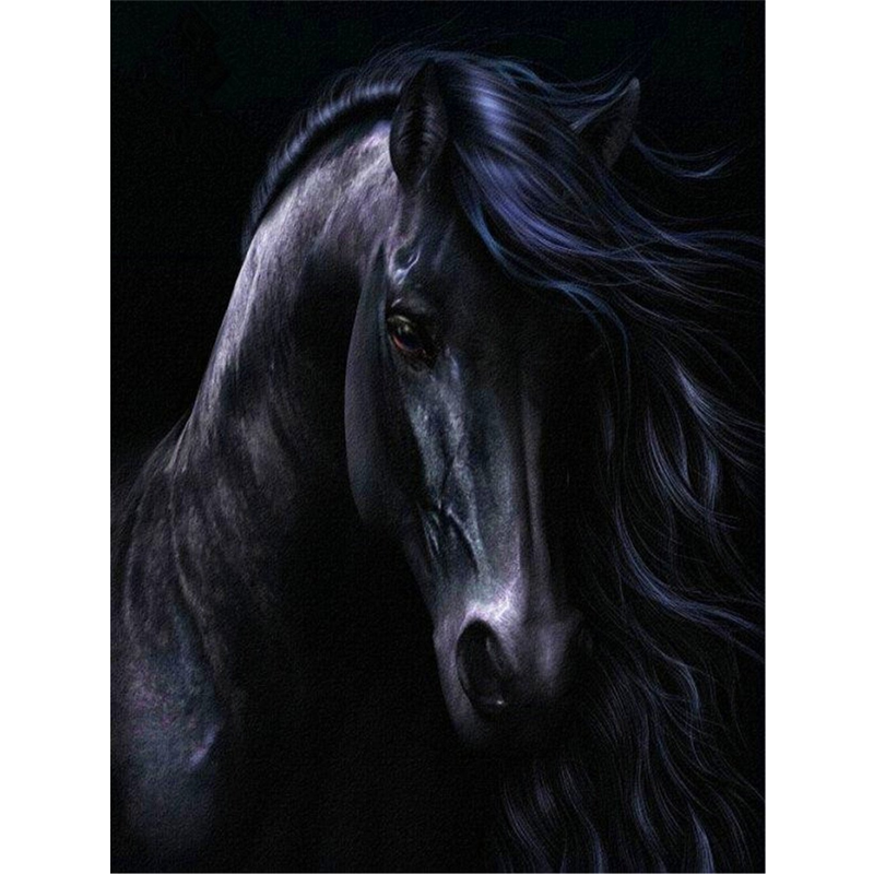 Black Horse 5D DIY P...