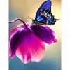 Butterfly Mosaic Picture 5D DIY Paint By Diamond Kit