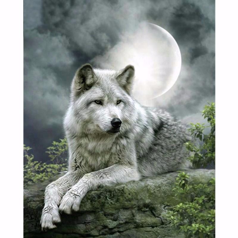 White Wolf And Moon ...