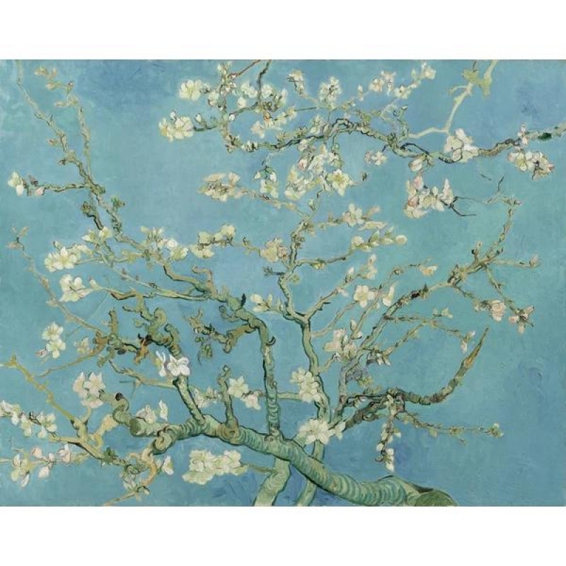 Almond Blossoms - Vincent...