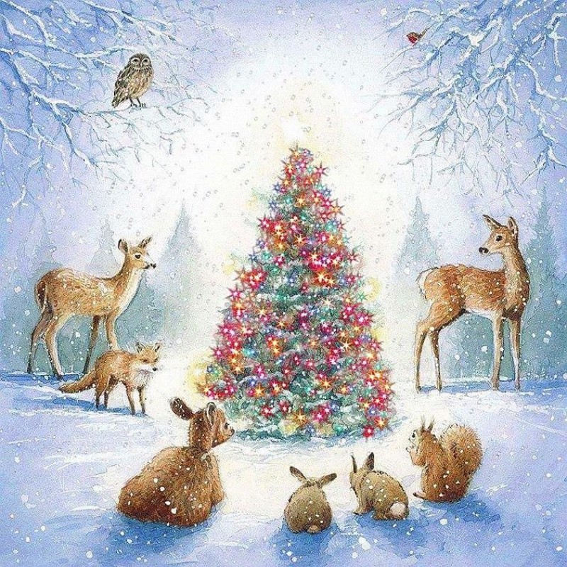 Animals Around Christmas ...
