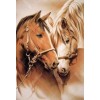 Two Horses 5D DIY Paint By Diamond Kit