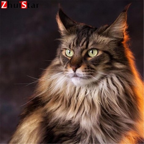 Black Cat 5D DIY Paint By Diamond Kit