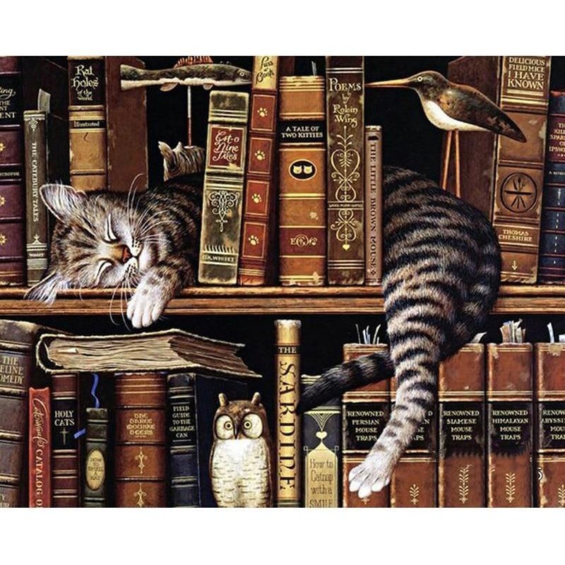Cat in the Bookshelf...
