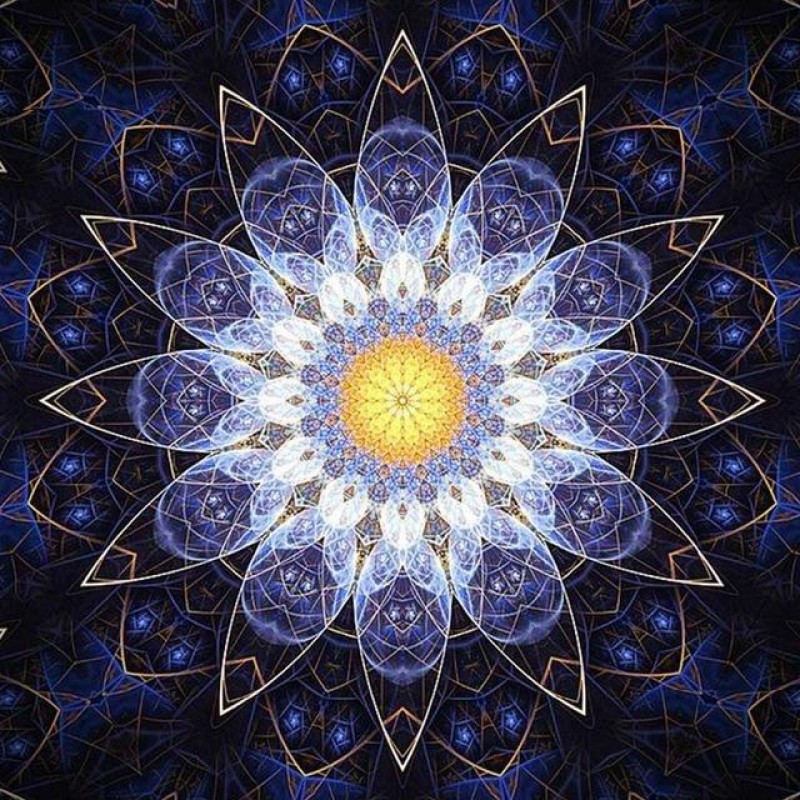 Purple And Yellow Re...