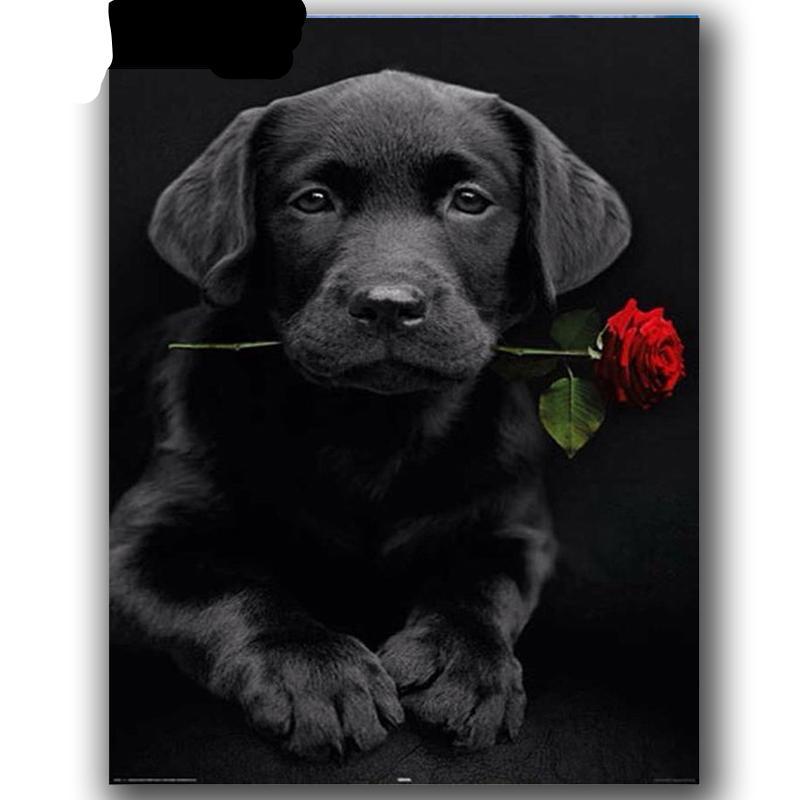 Black Dog Rose 5D DIY Pai...