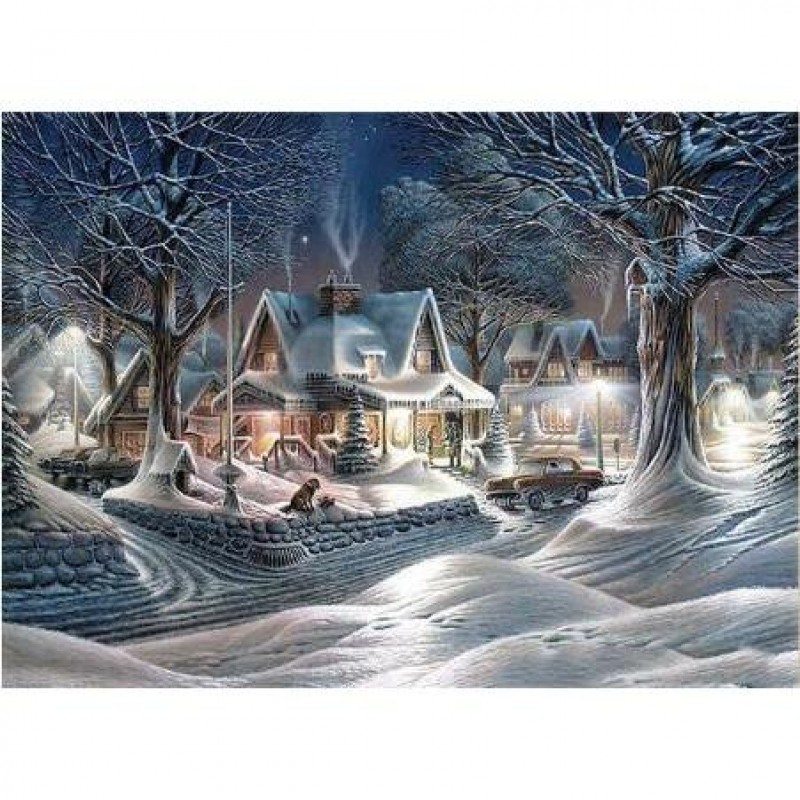 Snow Witness 5D DIY ...