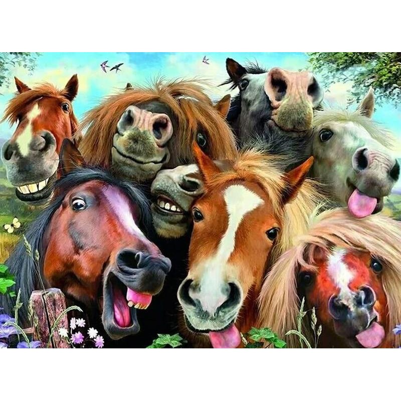 The Horse Family 5D ...