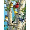 Birds On Tree 5D DIY Paint By Diamond Kit