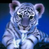 Tiger butterflies 5D DIY Paint By Diamond Kit