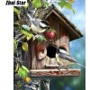 Two birds 5D DIY Paint By Diamond Kit