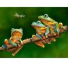Three Frogs 5D DIY Paint By Diamond Kit