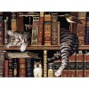 Bookcase Cat 5D DIY Paint By Diamond Kit