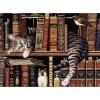 Bookcase Cat 5D DIY Paint By Diamond Kit