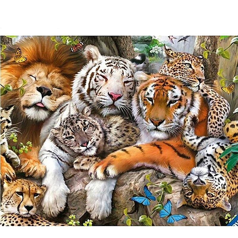 The Big Cat Family 5...