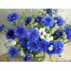 White & Blue Flowers 5D DIY Paint By Diamond Kit