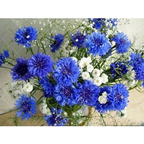 White & Blue Flowers 5D DIY Paint By Diamond Kit