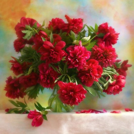 Red Peony Flowers 5D DIY Paint By Diamond Kit