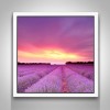 Lavender Grasslands 5D DIY Paint By Diamond Kit