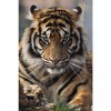 Animal tiger 5D DIY Paint By Diamond Kit