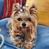 Animal Cute Puppy  5D DIY Paint By Diamond Kit
