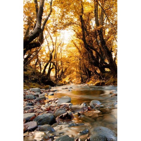 Scenic Fall Jungle Stream 5D DIY Diamond Painting