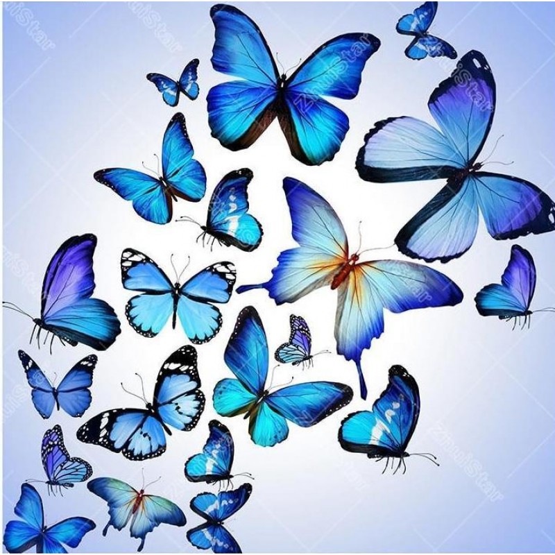 Blue butterfly 5D DI...