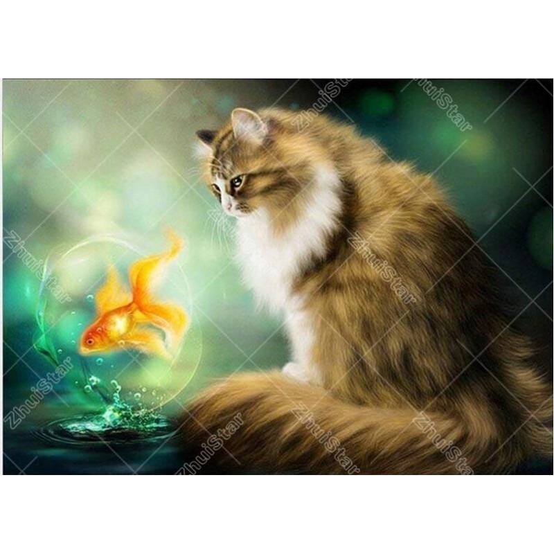 Cat Looking At Fish ...