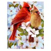 Spring Birds 5D DIY Paint By Diamond Kit