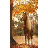 Horse In The Jungle 5D DIY Diamond Painting