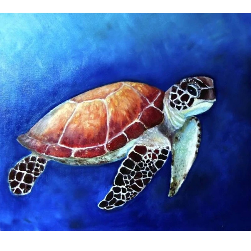 Turtle Underwater by Vikt...