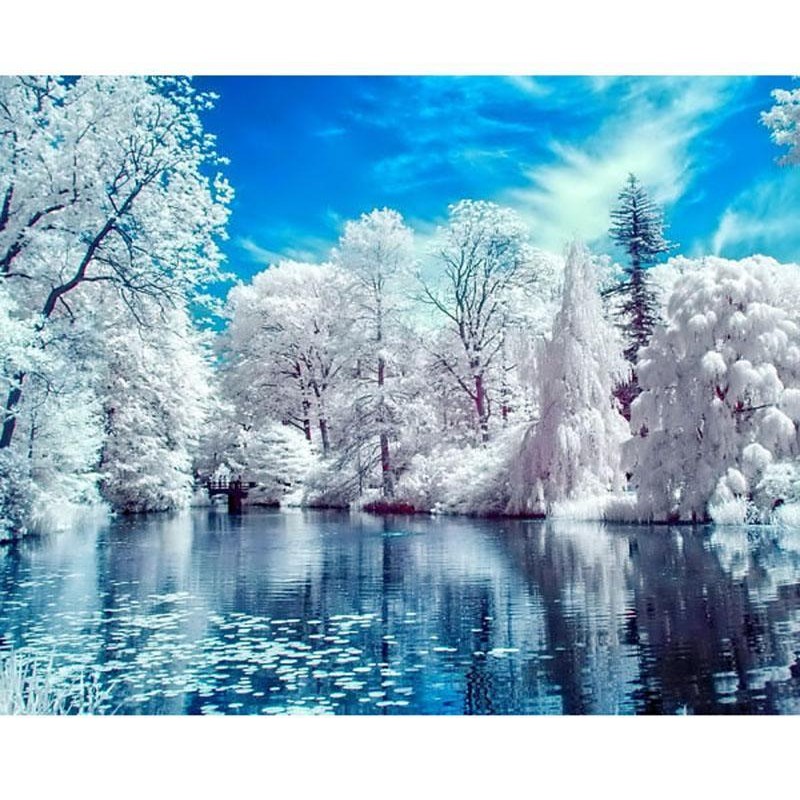 Snow Scenary  5D DIY...