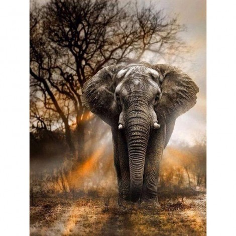 African Elephant 5D DIY Paint By Diamond Kit