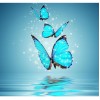 Blue Butterfly 5D DIY Paint By Diamond Kit