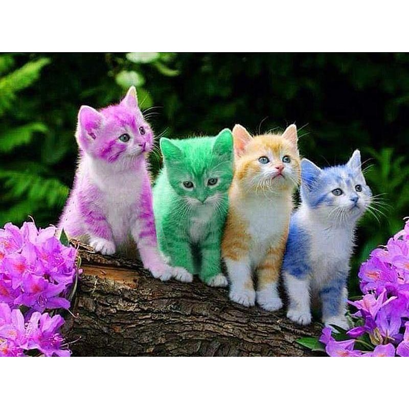 Rainbow Kittens 5D D...