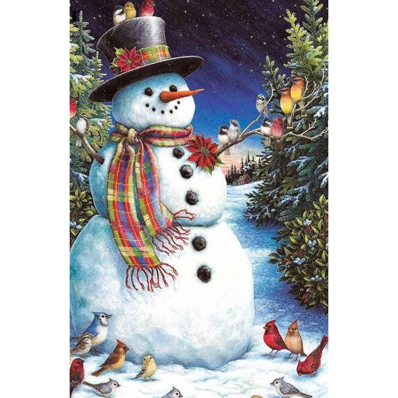Snowman & Birds ...