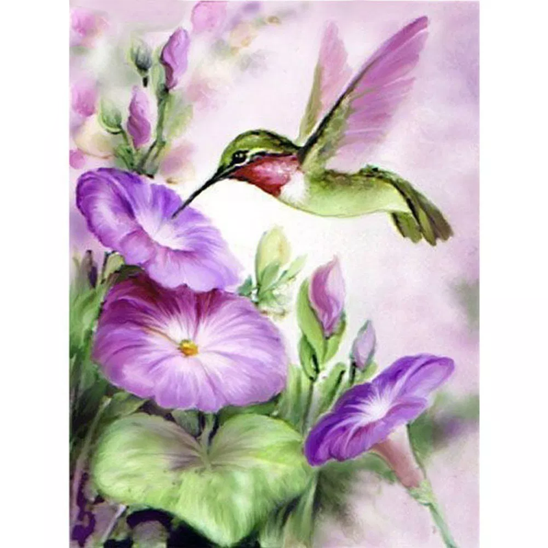 The Hummingbird  5D ...