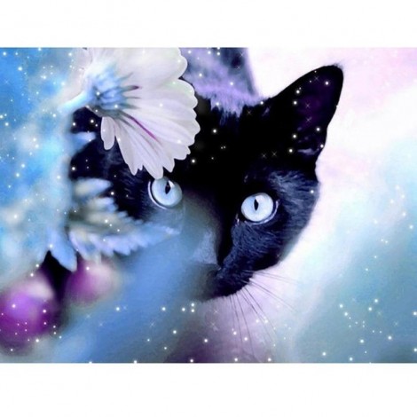 Animal Black Cat  5D DIY Paint By Diamond Kit