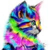 Abstract Multi-Color Cat 5D DIY Paint By Diamond Kit