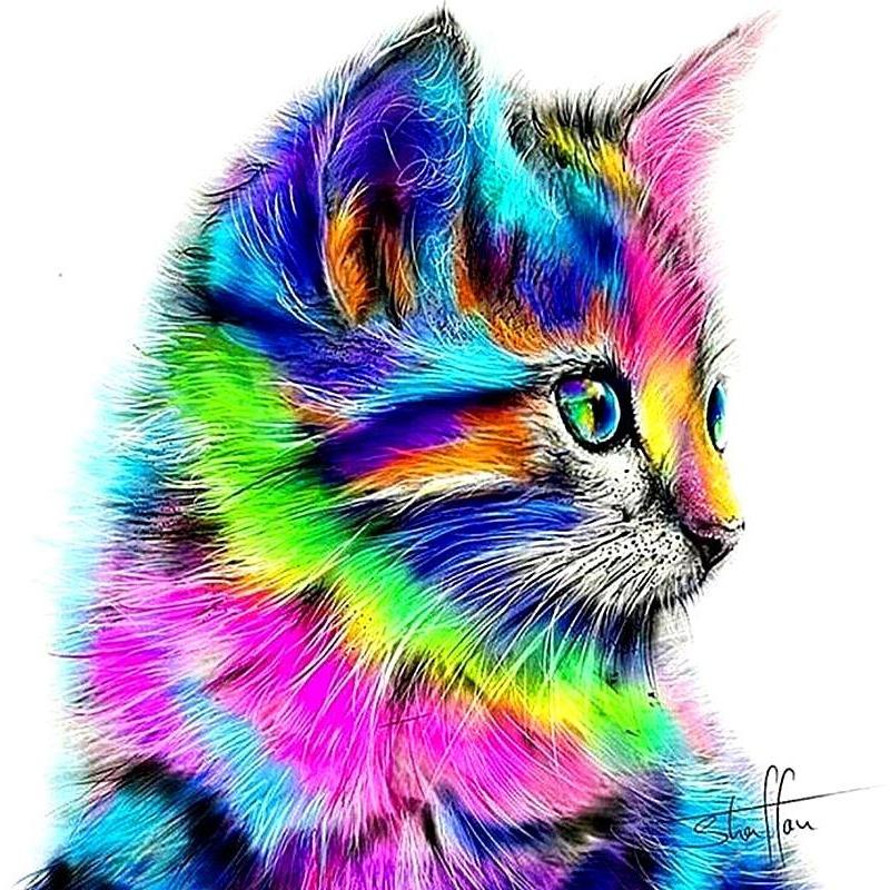 Abstract Multi-Color Cat ...