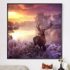 Wapiti Landscape 5D DIY Paint By Diamond Kit