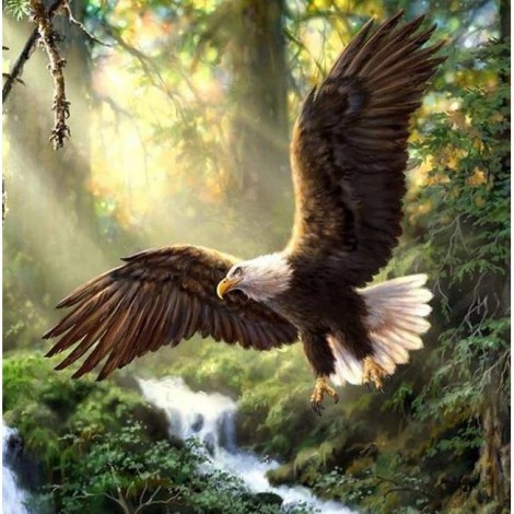 Soaring Eagle 5D DIY Paint By Diamond Kit